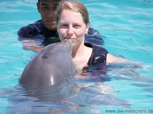 Kerstin und der Delfin